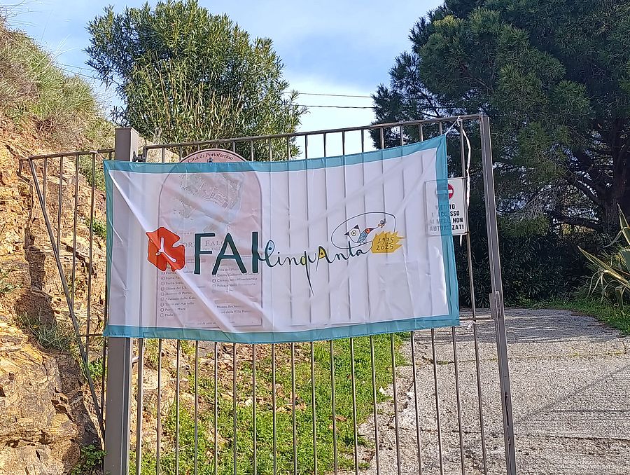 falcone primavera fai (1)