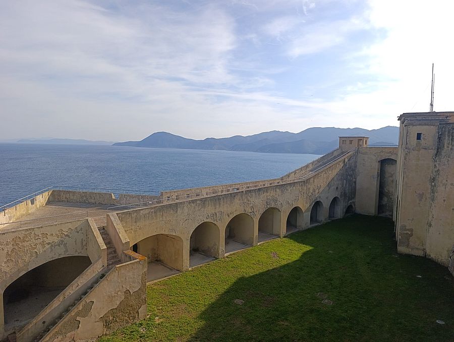 falcone primavera fai (3)