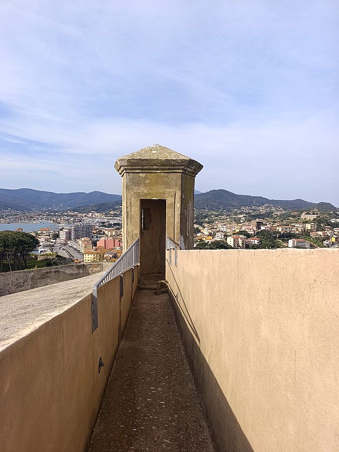 falcone primavera fai (5)