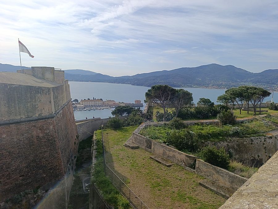 falcone primavera fai (6)