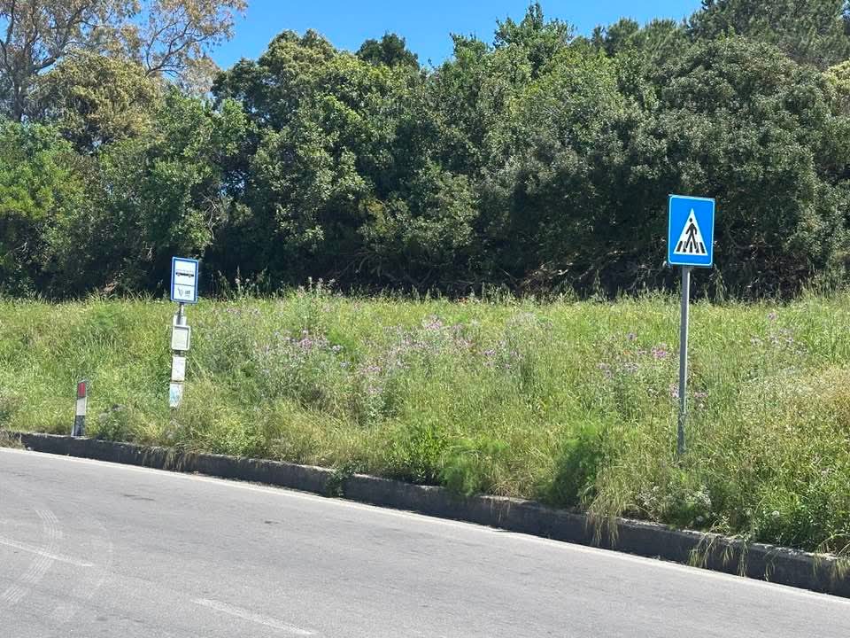 fermata bus villa grotte (2)