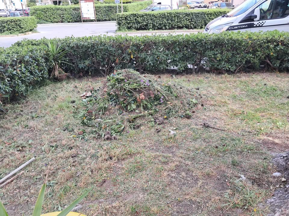 giardini piazza dante dopo (1)