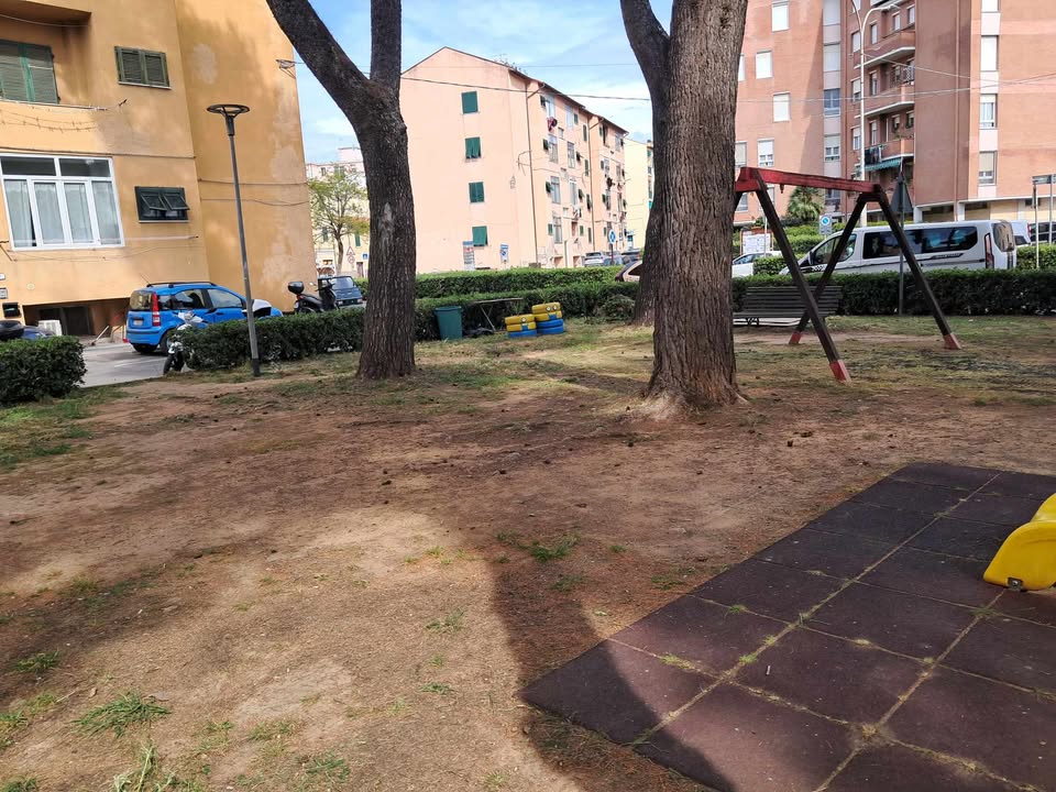 giardini piazza dante dopo (5)