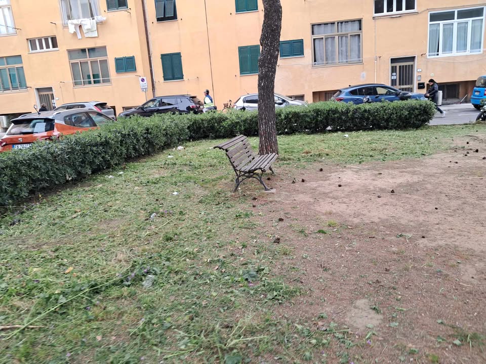 giardini piazza dante dopo (6)