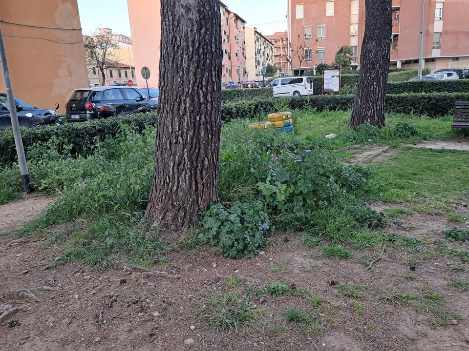 giradini piazza dante prima (4)