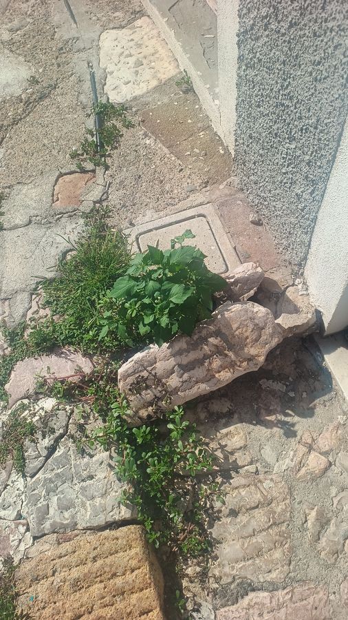 lastre rosa via della fonderia 2