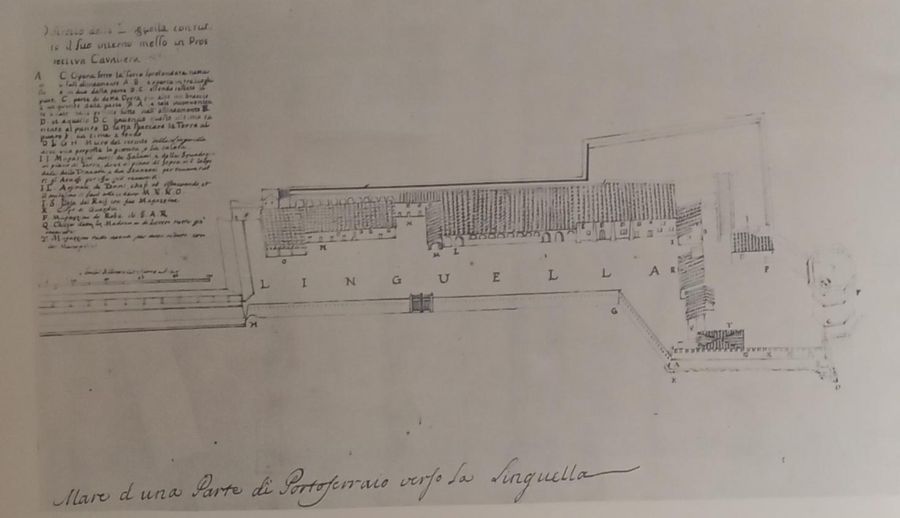 Disegno penna a inchiostro linguella 7