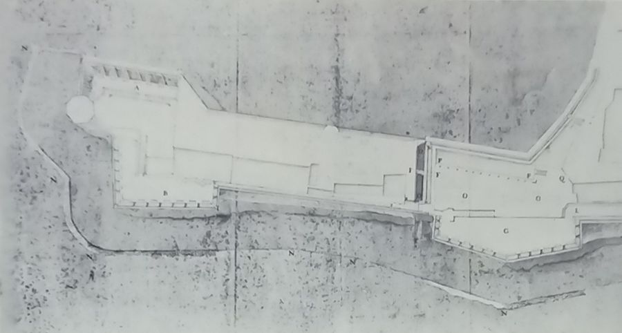 LINGUELLA,”Pianta che dimostra la restaurazione  8