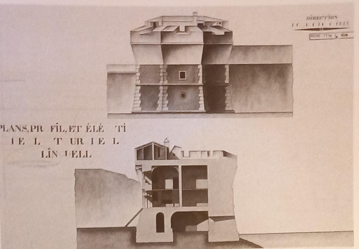 Prospetto e sezione della torre della Linguella 5