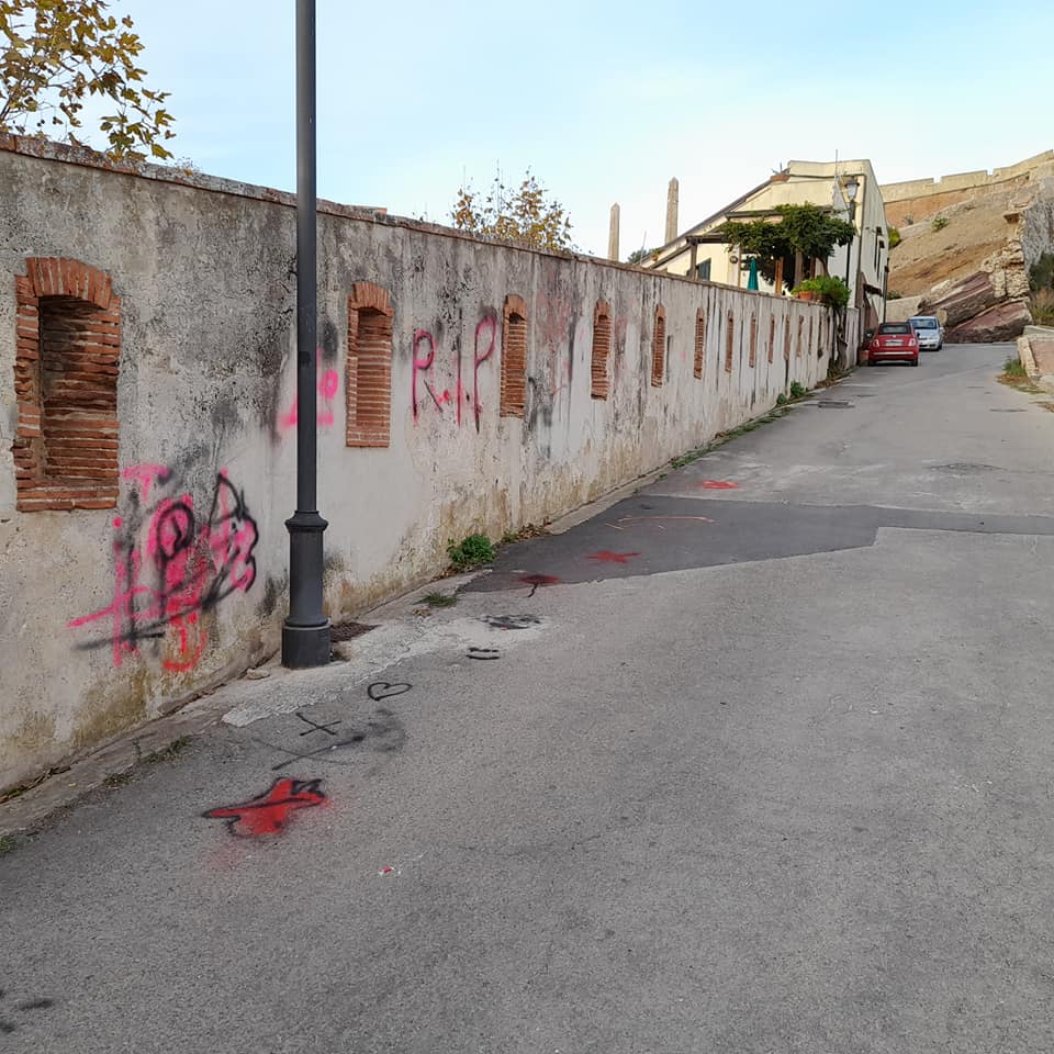 246660265 6317076388363269 5729525358805725685 n