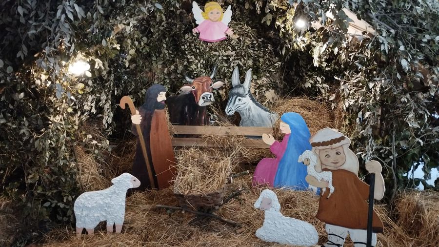 presepe grigolo 2025