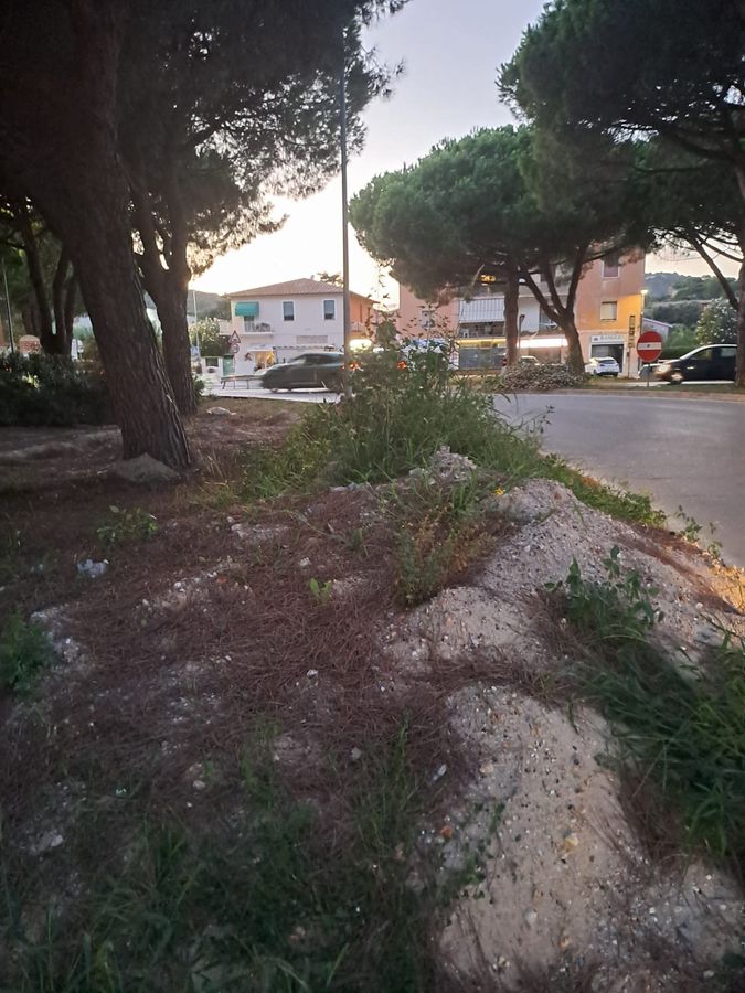 Rotonda Concia di Terra 1