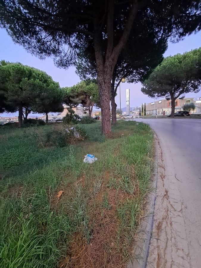 Rotonda Concia di Terra 2