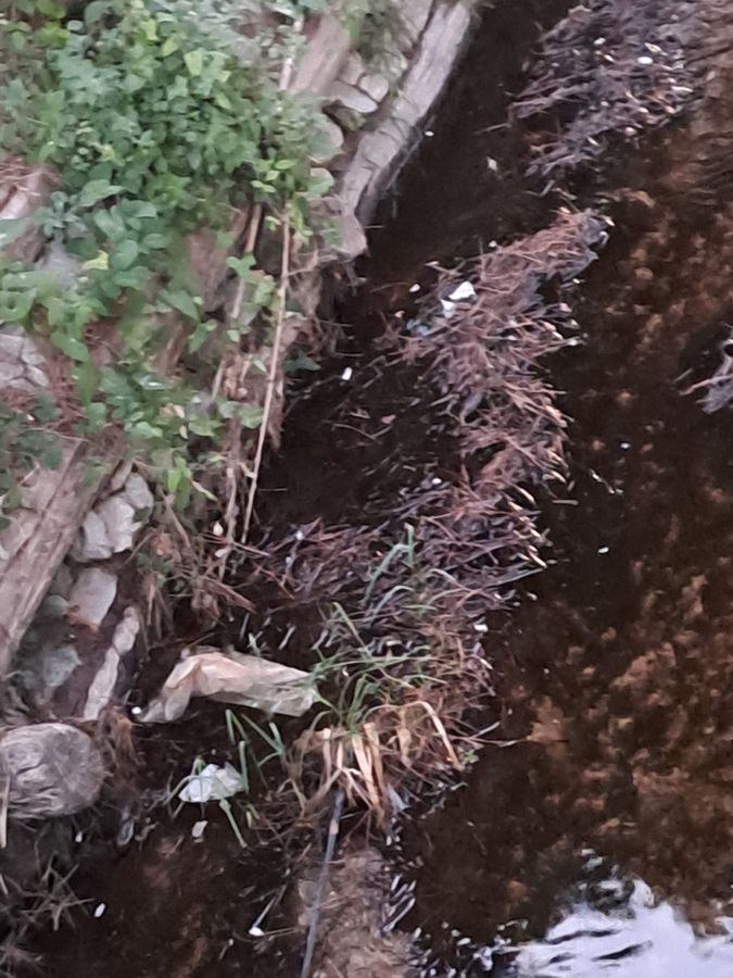 Rotonda Concia di Terra 5