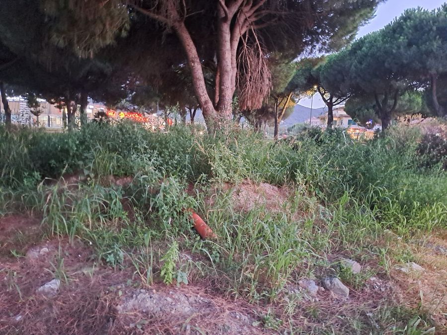 Rotonda Concia di Terra 6