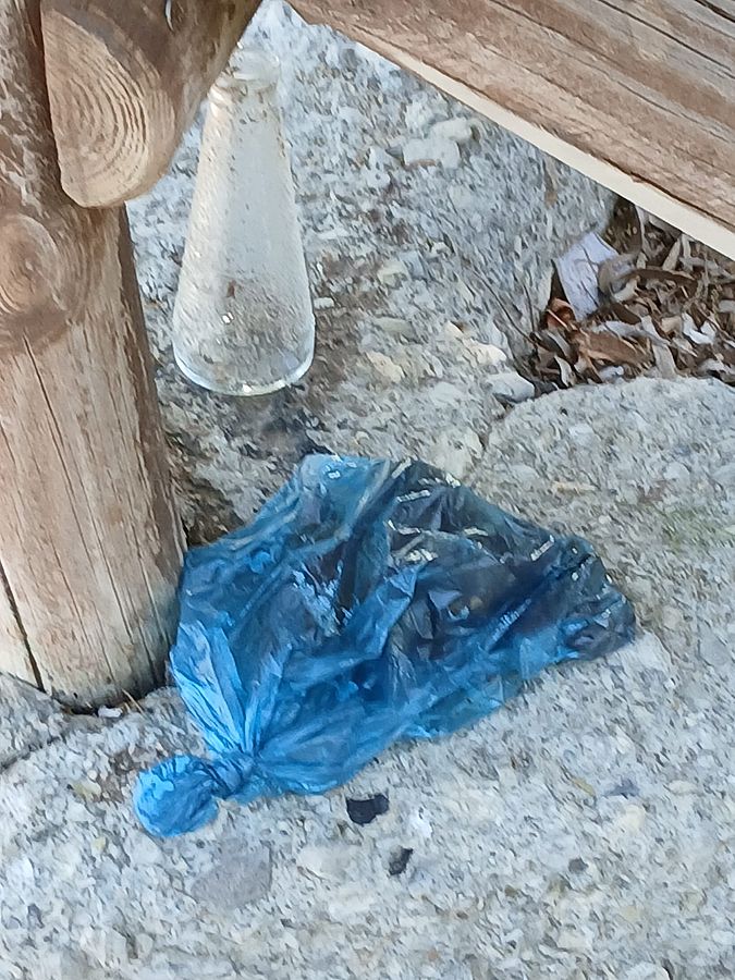 sacchetto deiezioni