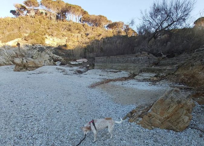 sansone degrado sentiero 5 bis