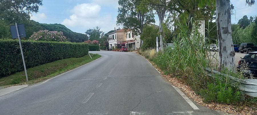 schiopparello vegetazione (3)