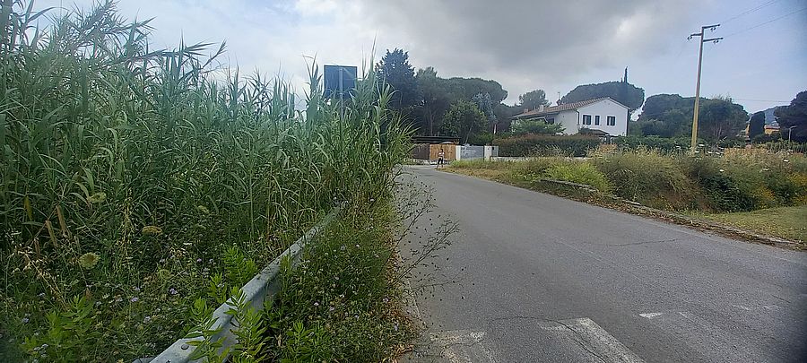 schiopparello vegetazione (5)