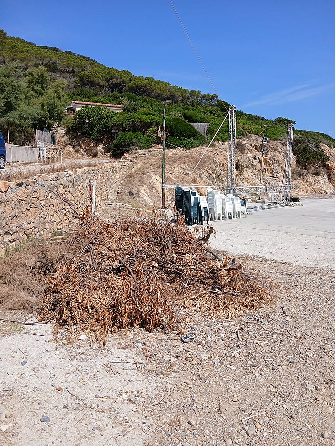 sfalci abbandonati