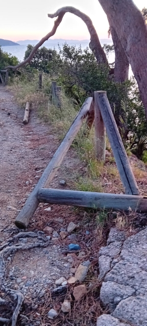 strada viticcio disastrata (1)