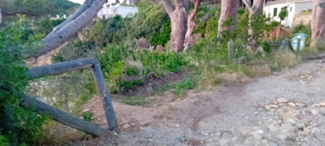 strada viticcio disastrata (3)