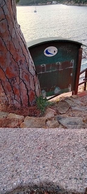 strada viticcio disastrata (6)