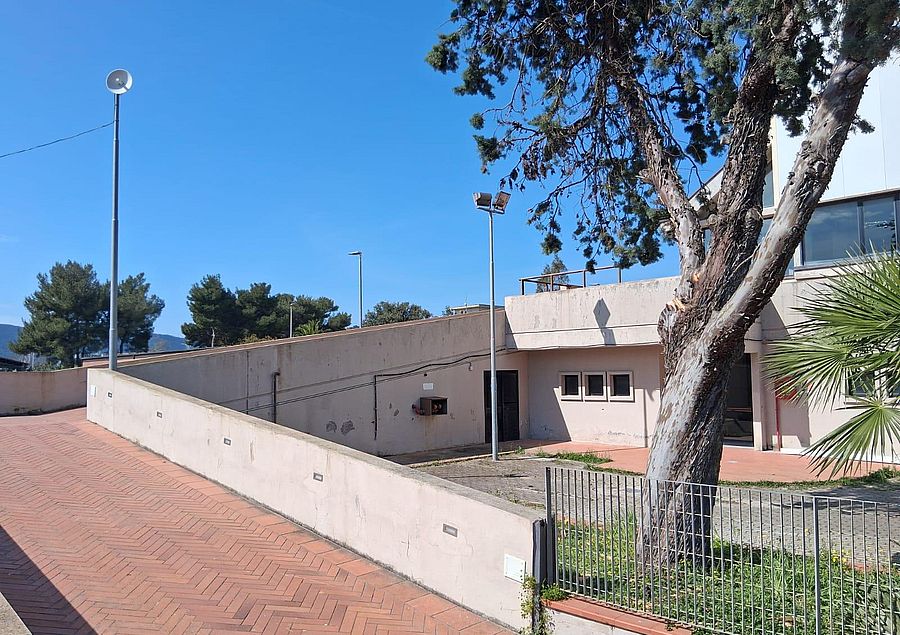 taglio albero palazzetto dopo