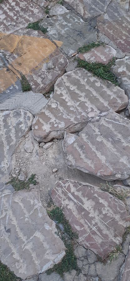 via della fonderia degradata 6