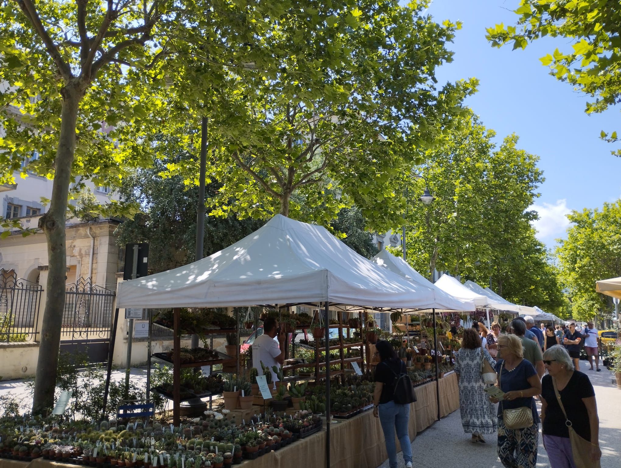 viale delle ghiaie ombra 1