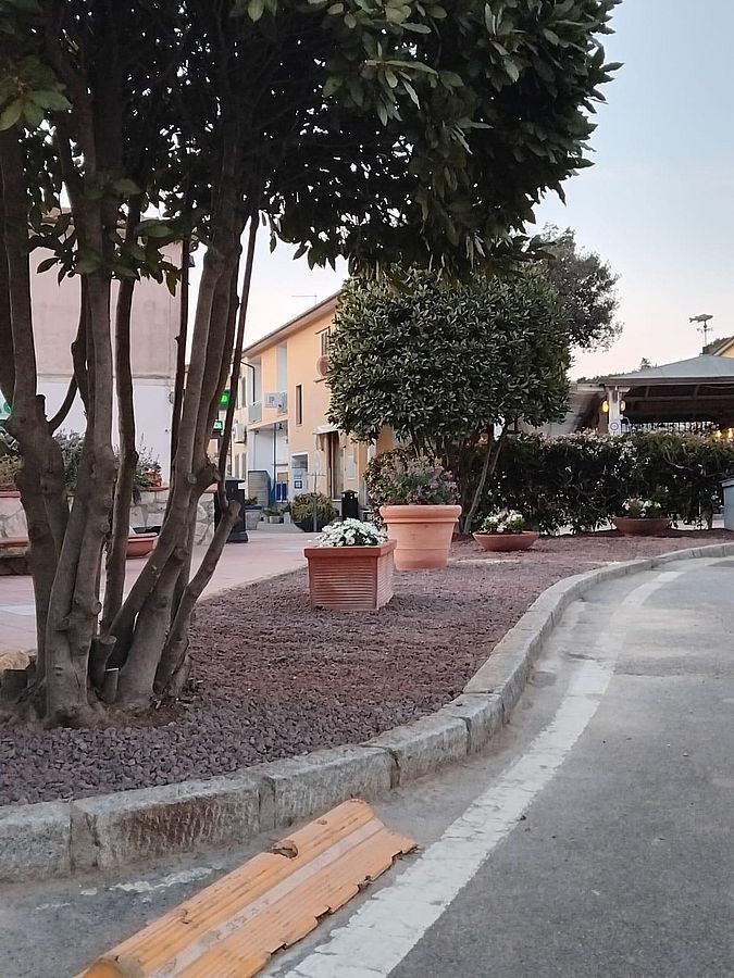 procchio in ordine (1)