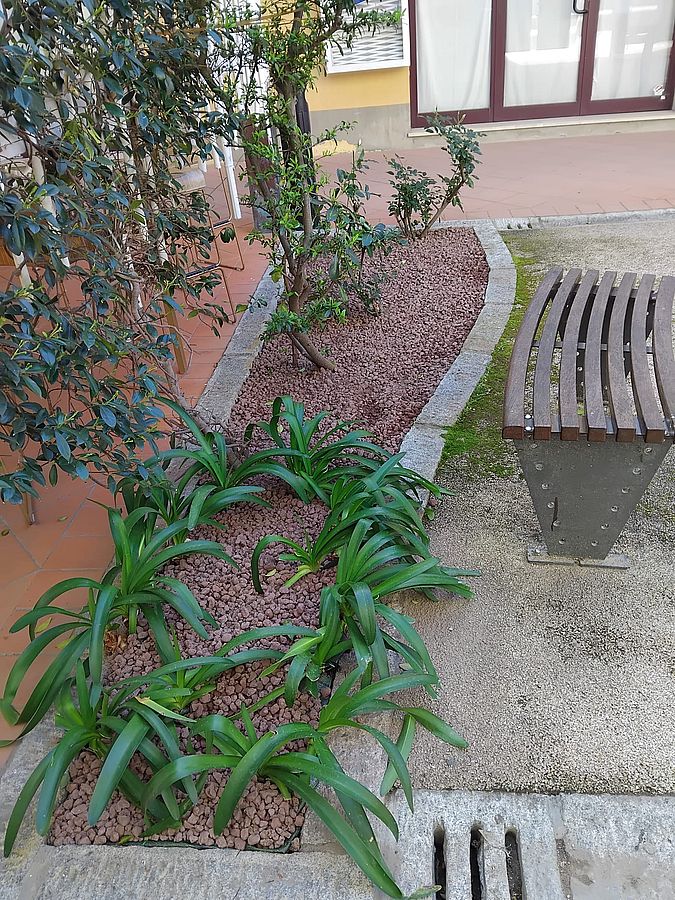 procchio in ordine (4)