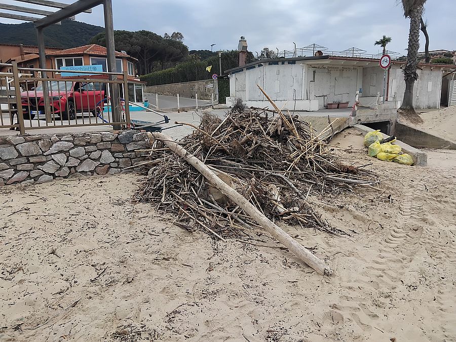 pulizia spiaggia procchio 2026 (2)