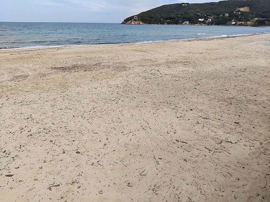 pulizia spiaggia procchio 2026 (5)