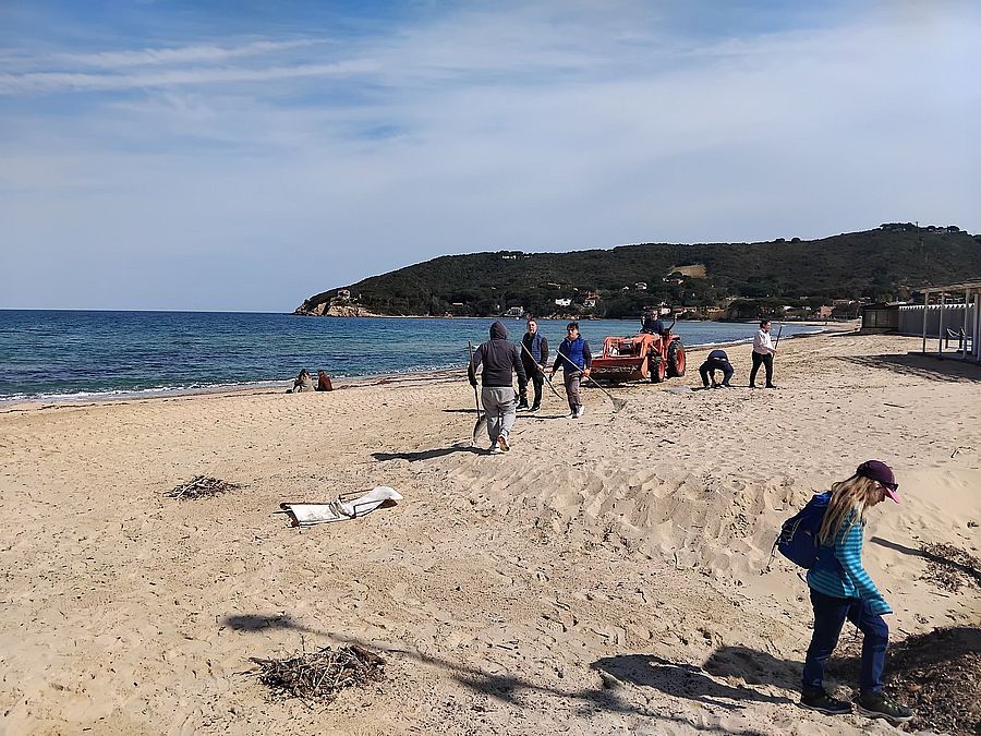 pulizia spiaggia procchio 2026 (6)