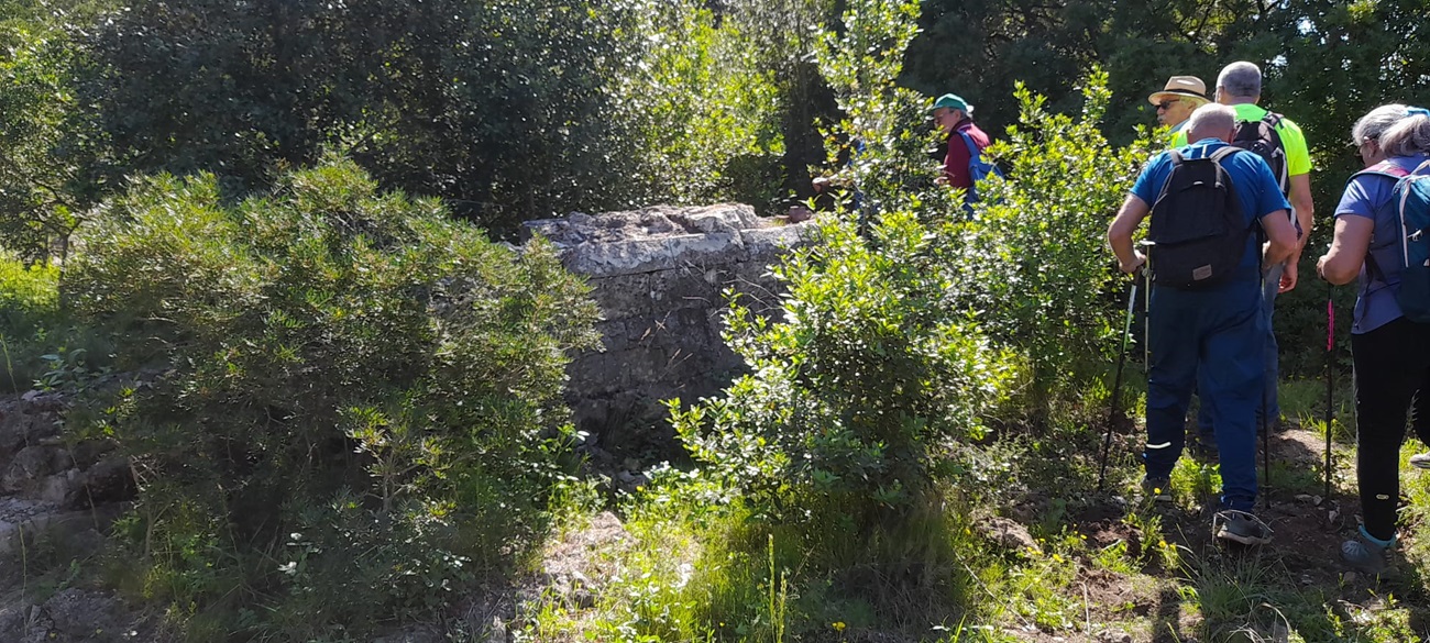 Torre del Giove San Quirico