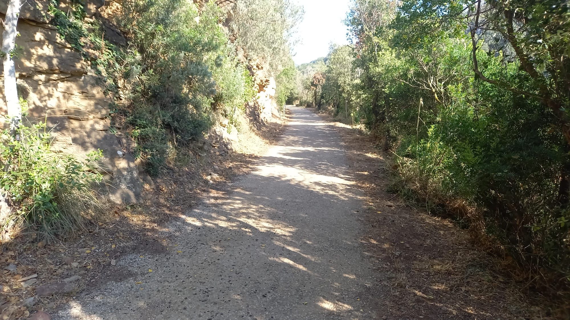 ortano strada sistemata