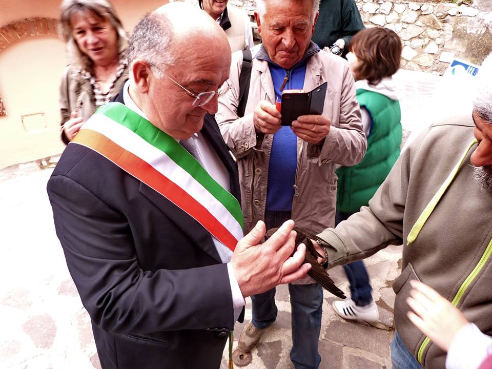 sindaco di Rio Elba con rondone