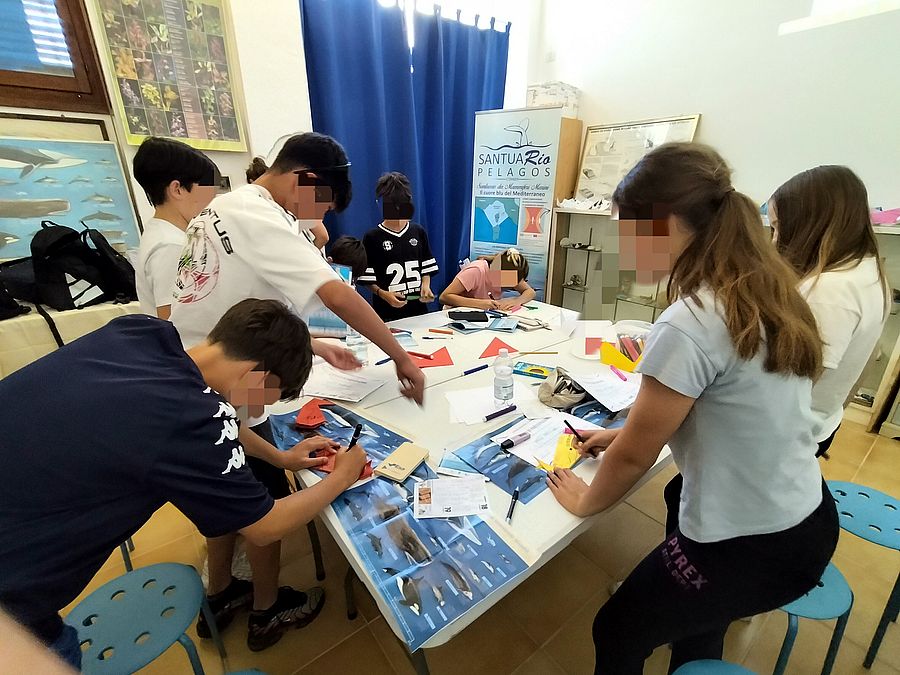 santuaRIO pelagos (12)