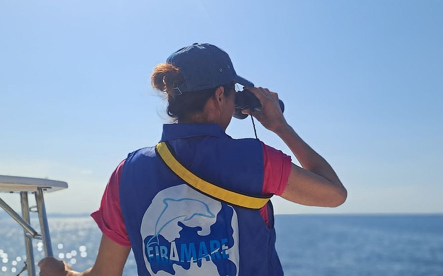 santuaRIO pelagos (7)