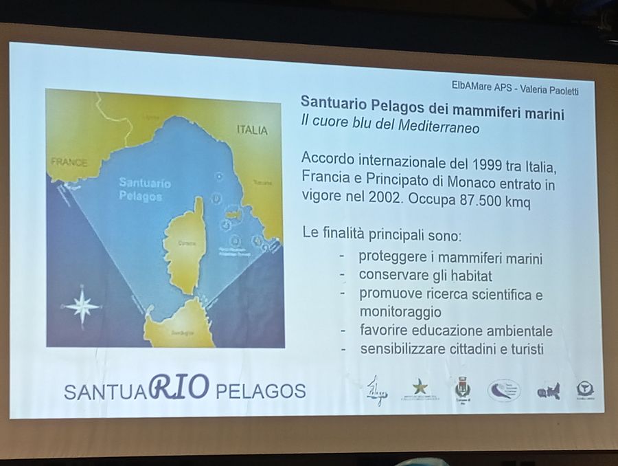 santuario perlagos finale (4)