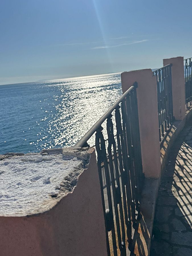 atti vandalici rio marina (3)