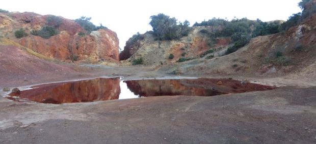 Puppaio laghetto discarica 620