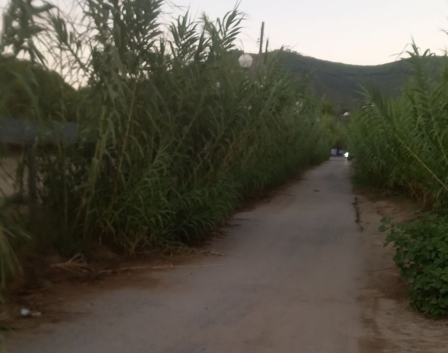 degrado spiaggia di lacona (3)