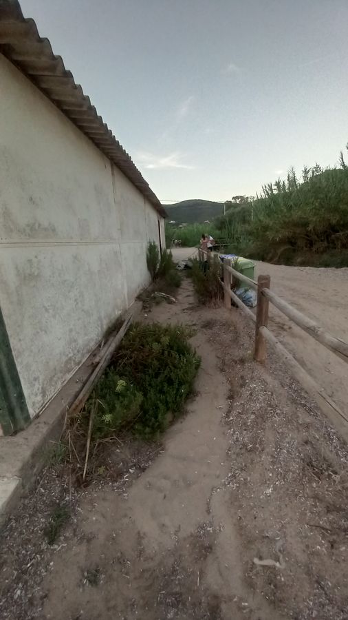 degrado spiaggia di lacona (6)