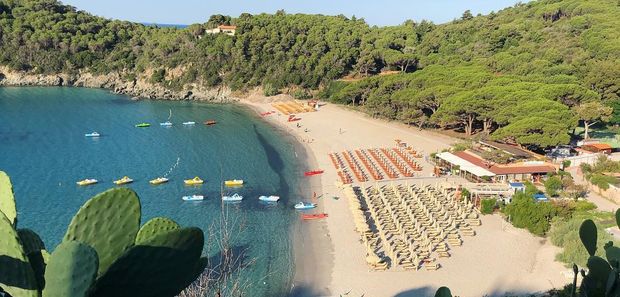 spiaggia di fetovaia 620
