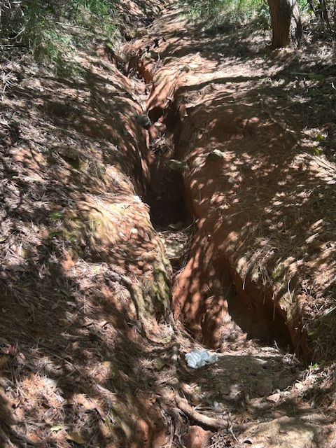 spiaggia stecchi uno 1