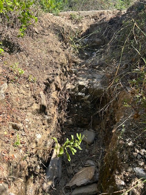 spiaggia stecchi uno 2