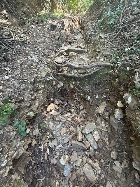 spiaggia stecchi uno 3