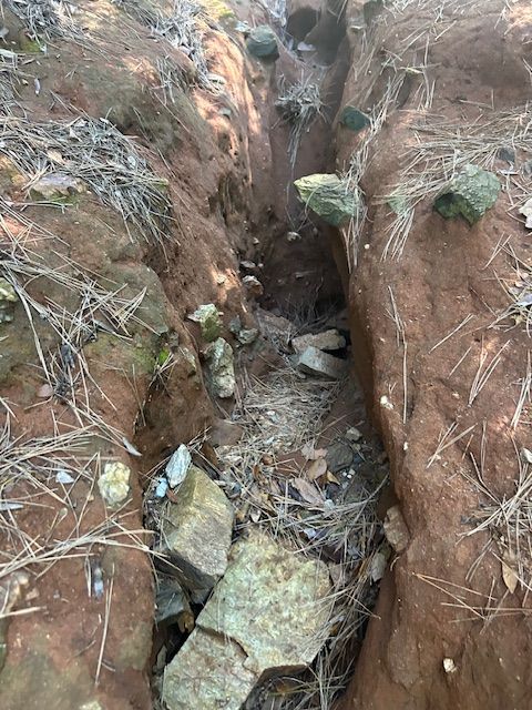 spiaggia stecchi uno 4